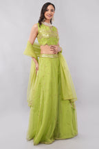 Lime green net lehenga