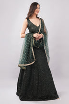 Dark Bottle Green Versatile, Symbolizing Harmony Bold Contemporary