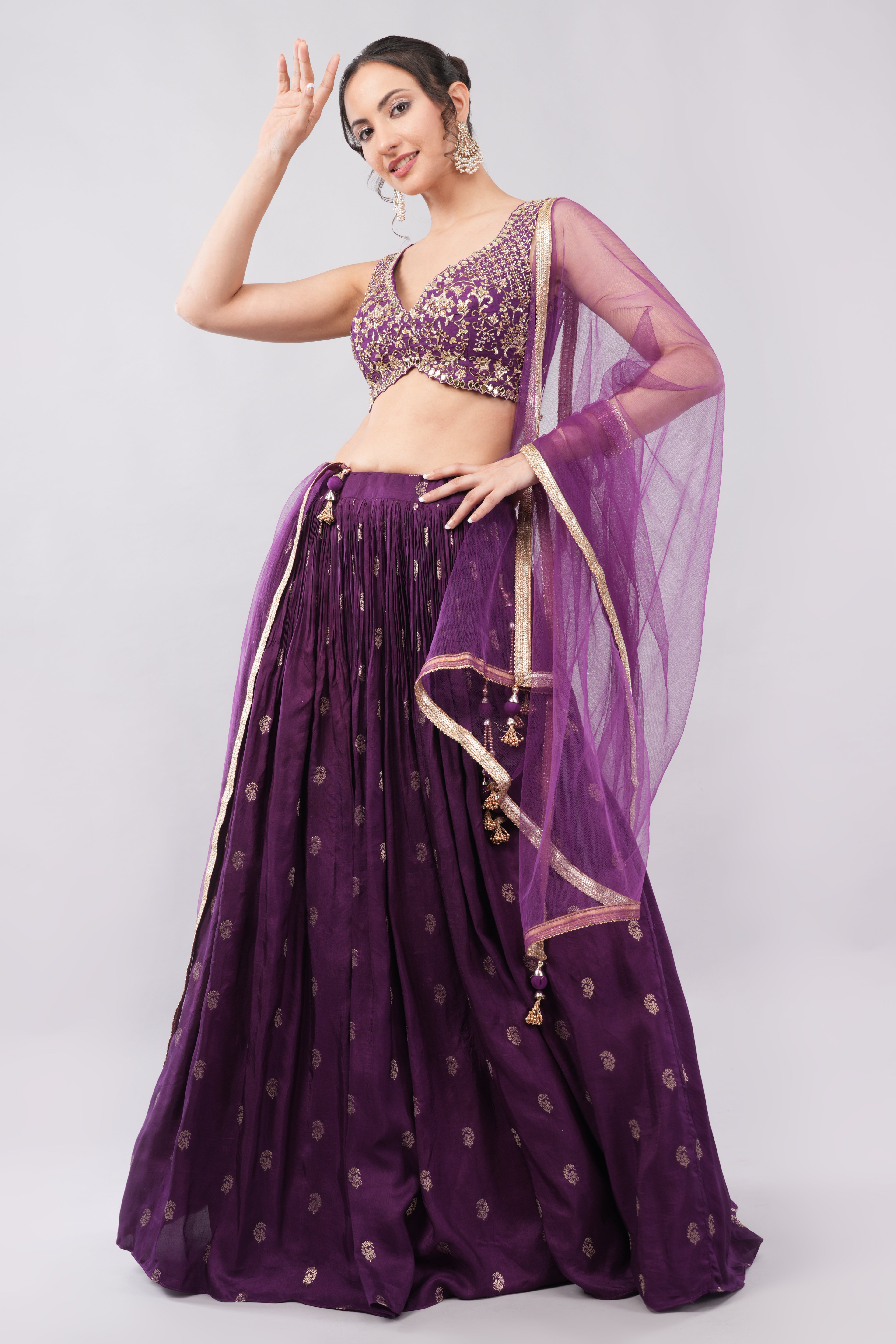 Beautiful Dark Purple Lehenga with Intricate Embroidery