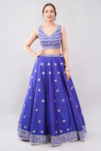 Roya blue lehenga Choli with white silky thread embroidery