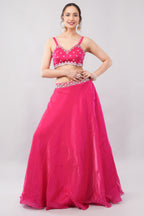Mañana lehenga with net dupatta and blouse