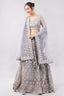 Net with linning lehenga (skirt & blouse)