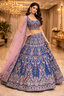 Royal blue Lehenga ( skirt & blouse)